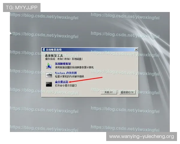迈博真人会员登录不了的常见故障排查及解决技巧详细说明